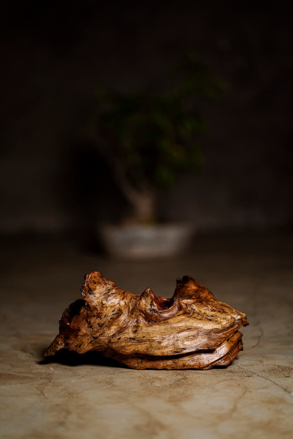 Chatterbox - Image 1